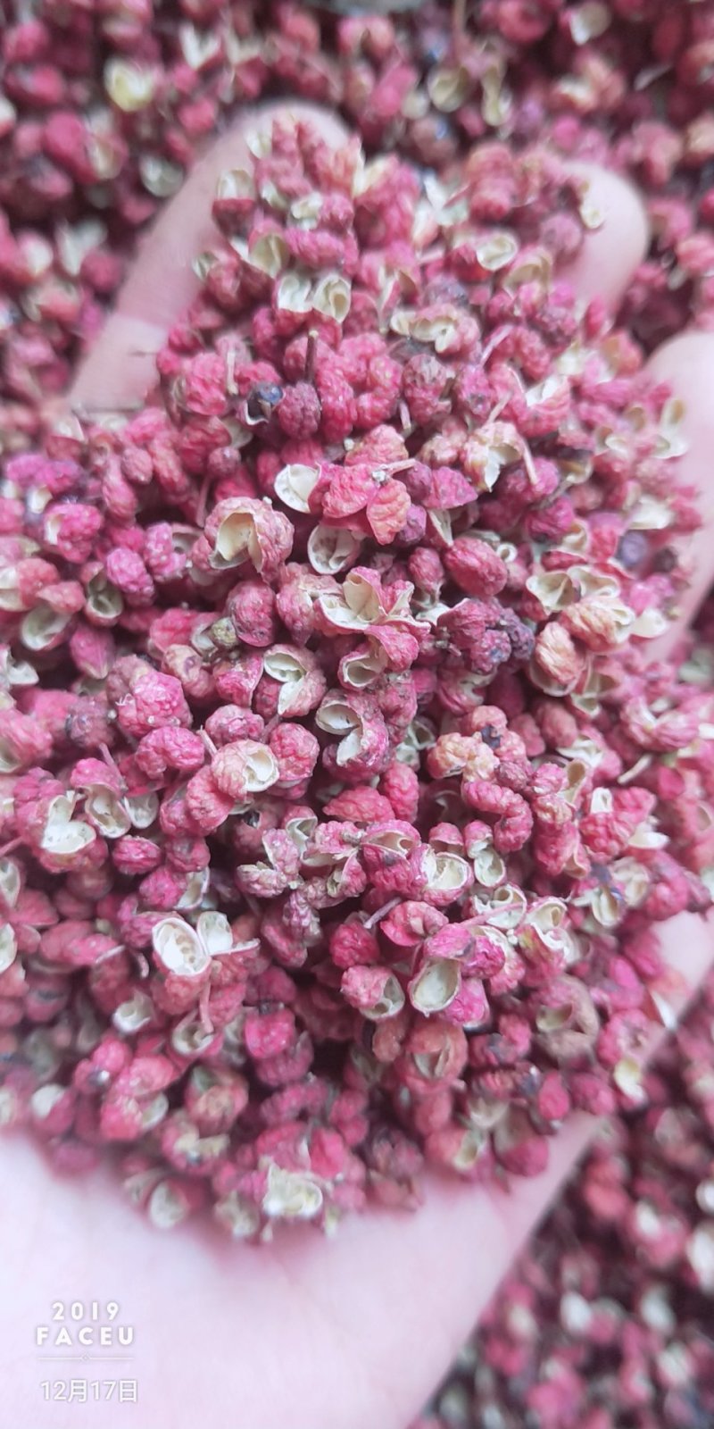 韩城大红袍花椒，特级花椒，味道纯正，口感香麻，欢迎选购