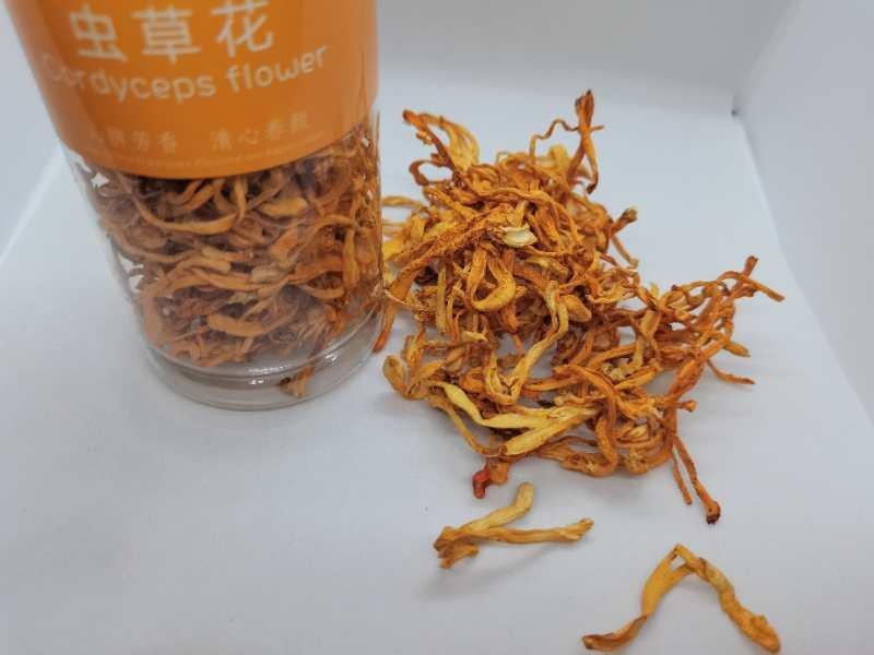 精选虫草花35g装全新(包邮、除偏远地区外)