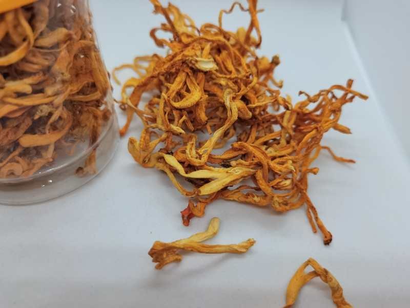 精选虫草花35g装全新(包邮、除偏远地区外)