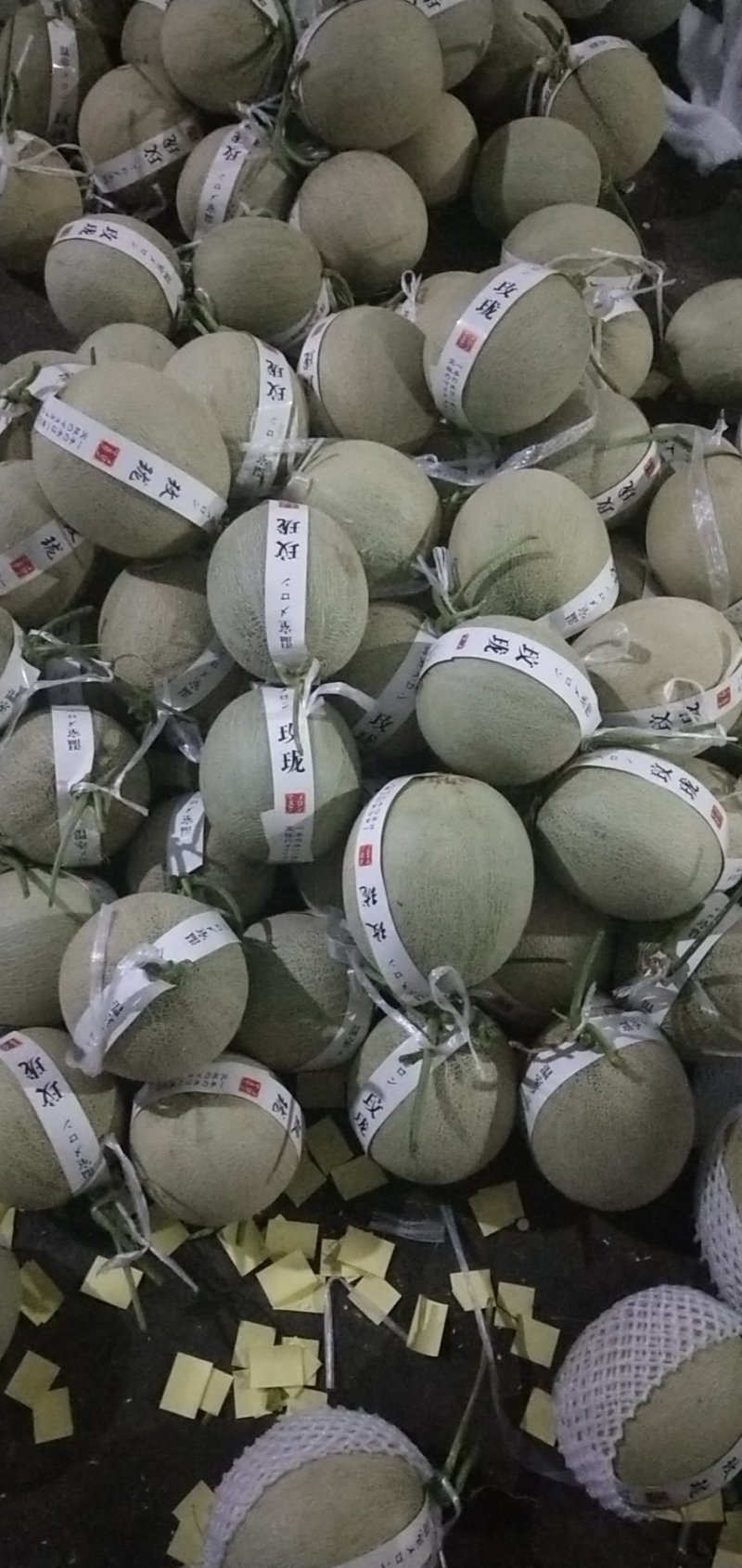 （鲁厚甜）产地直发，一手货源，软糯香甜。