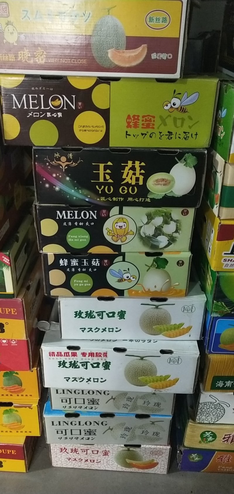 （玉姑甜瓜）产地直发，一手货源，清香沙甜，冰淇淋口感