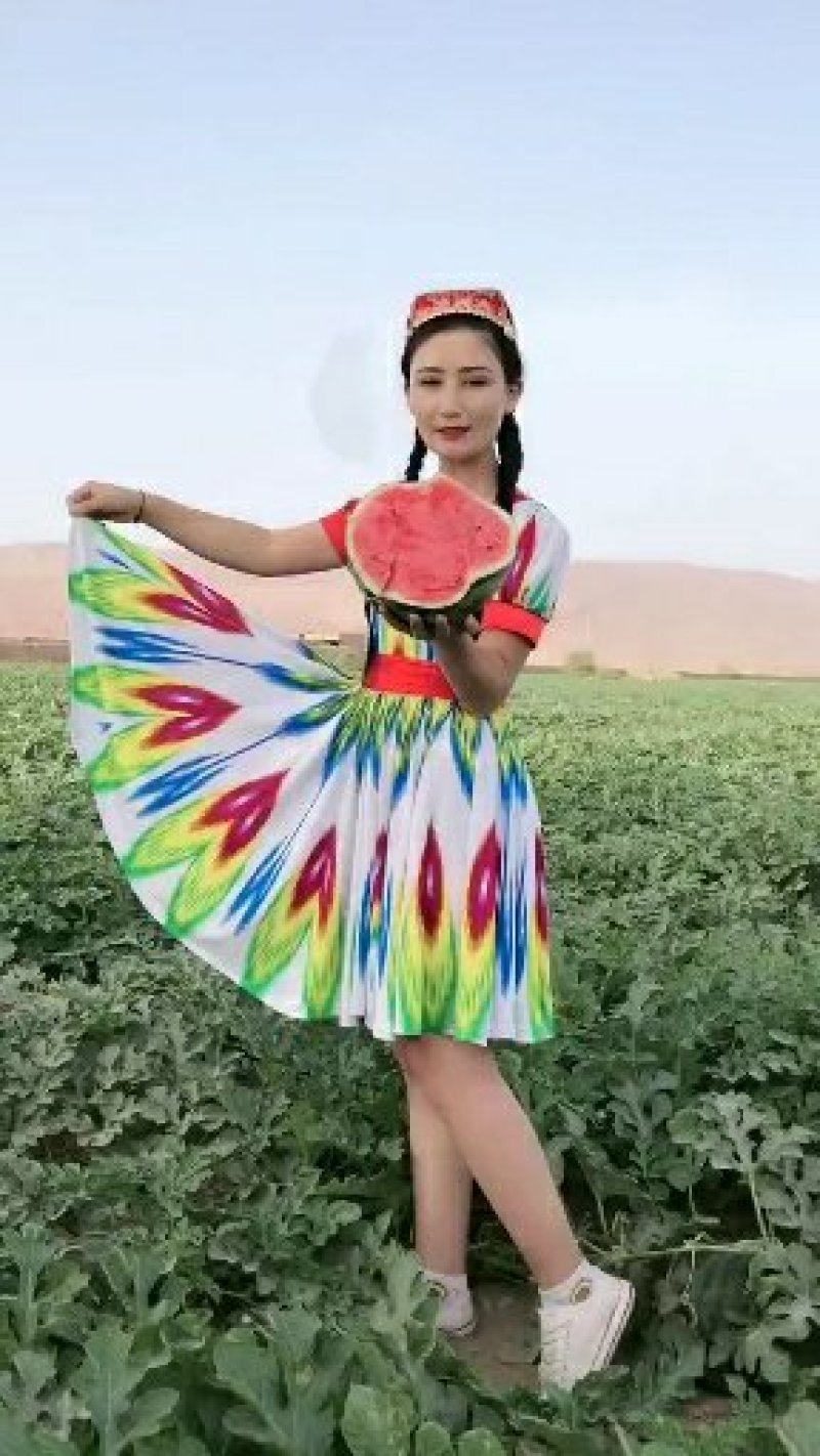 新疆西瓜代办.新疆西瓜.吐鲁番.昌吉.金城5号.安农二号