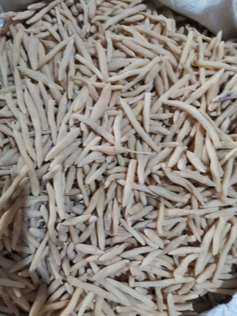 麦冬产地直供大量批发零售