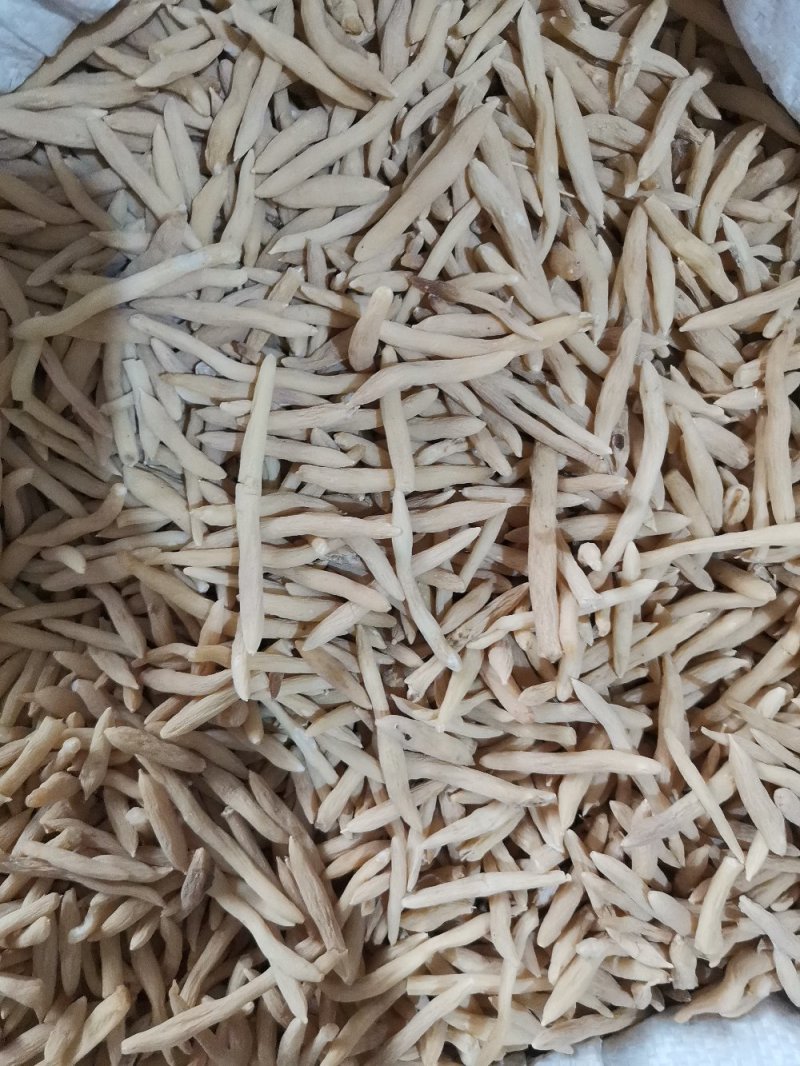 麦冬产地直供大量批发零售