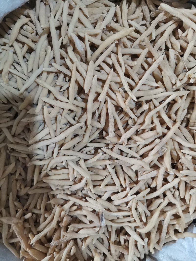 麦冬产地直供大量批发零售