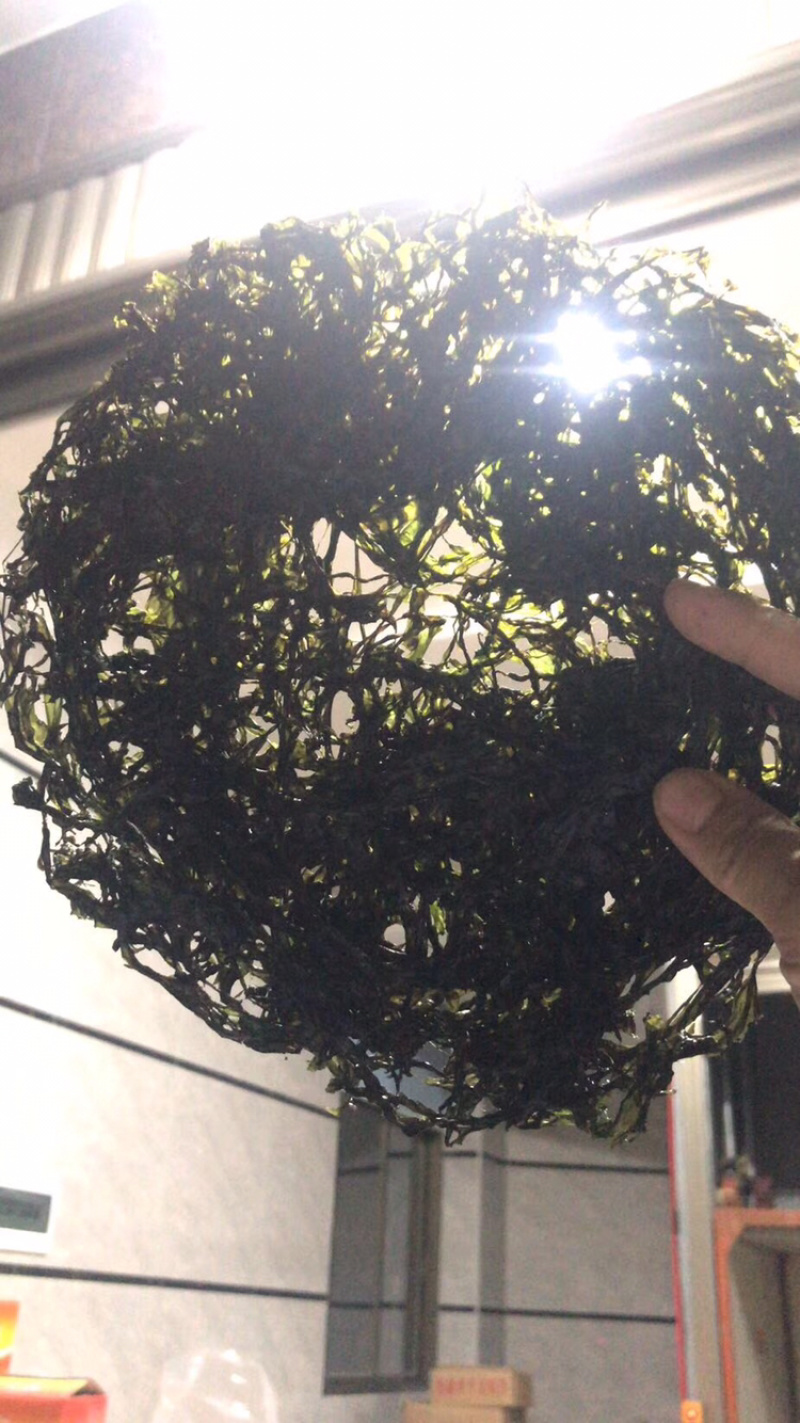 东山紫菜无沙，免泡，第几天的菜，一手货源，头水