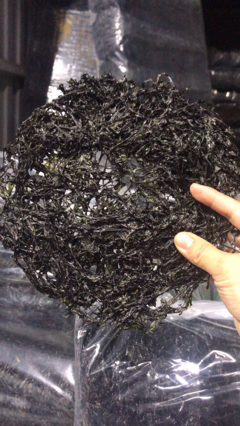 东山紫菜无沙，免泡，第几天的菜，一手货源，头水
