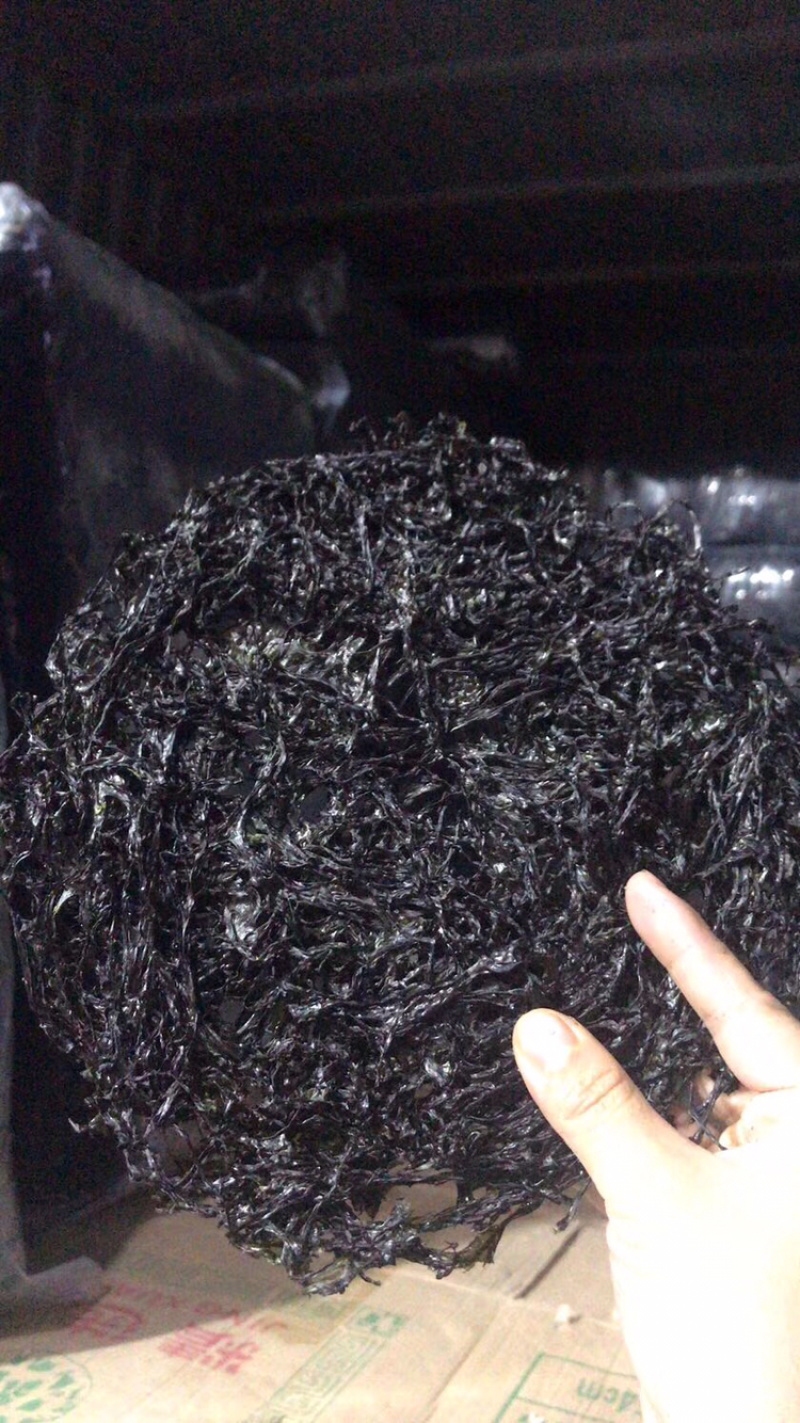 东山紫菜无沙，免泡，第几天的菜，一手货源，头水