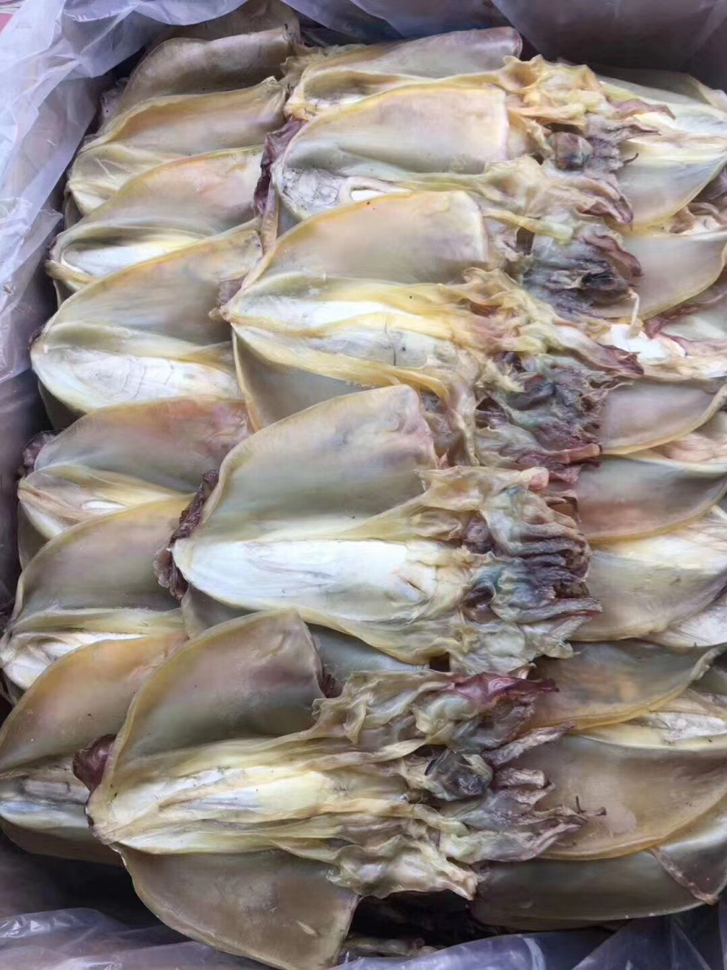 大章鱼，本港，淡口。合适煲汤，
