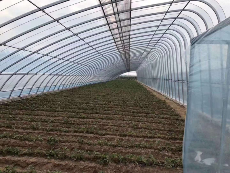 大棚膜厂家直销新型材料耐用价低欢迎咨询