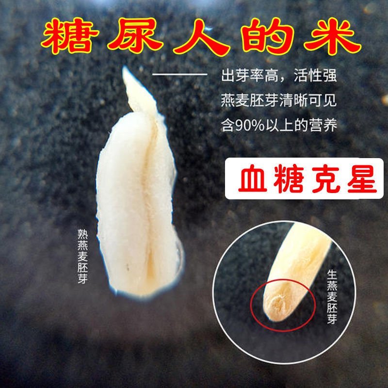 燕麦胚芽米边煮边发芽的神奇谷物燕麦胚芽米5斤装包邮