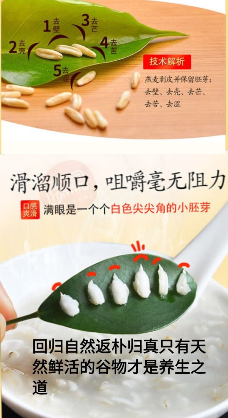 燕麦胚芽米边煮边发芽的神奇谷物燕麦胚芽米5斤装包邮