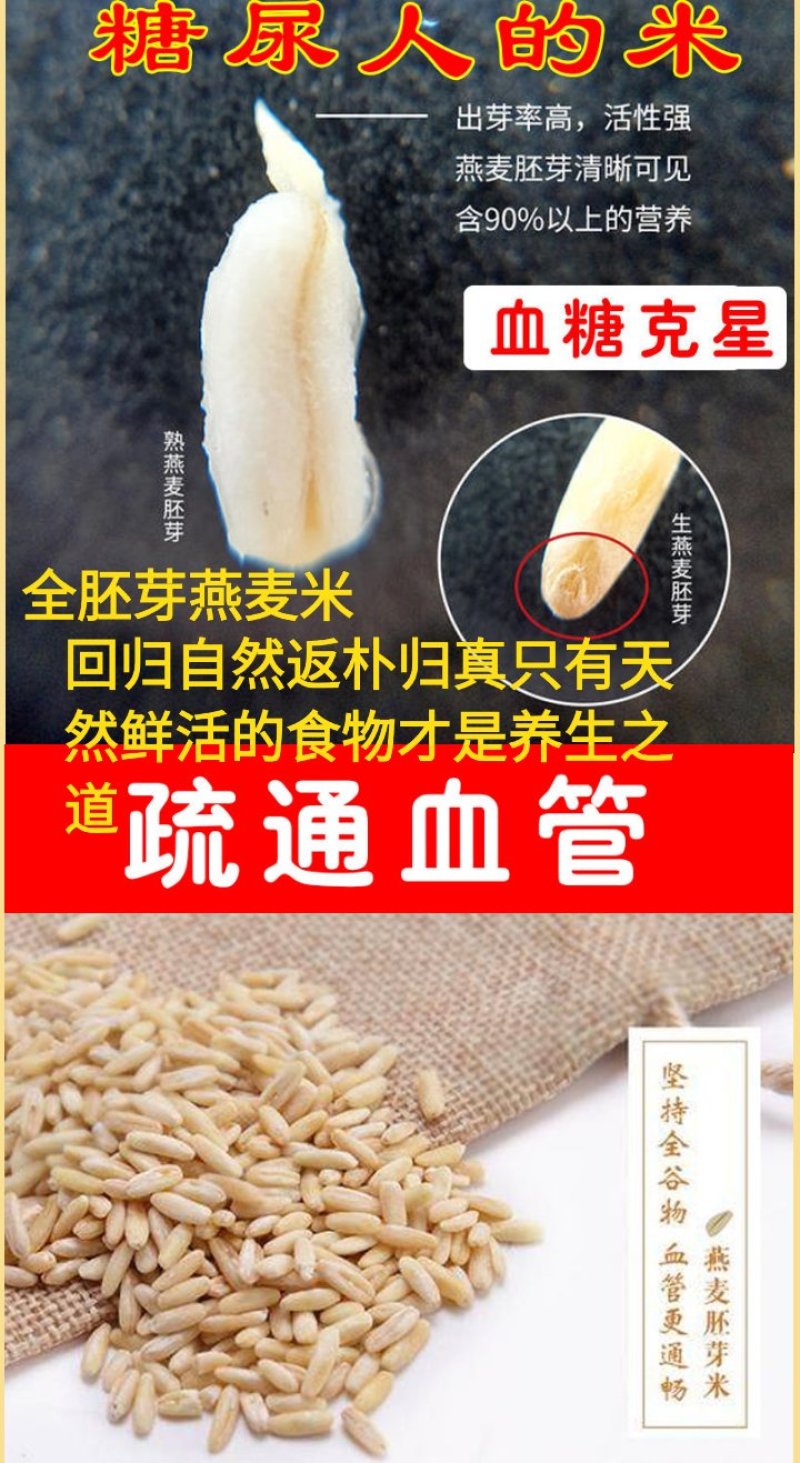 燕麦胚芽米边煮边发芽的神奇谷物燕麦胚芽米5斤装包邮