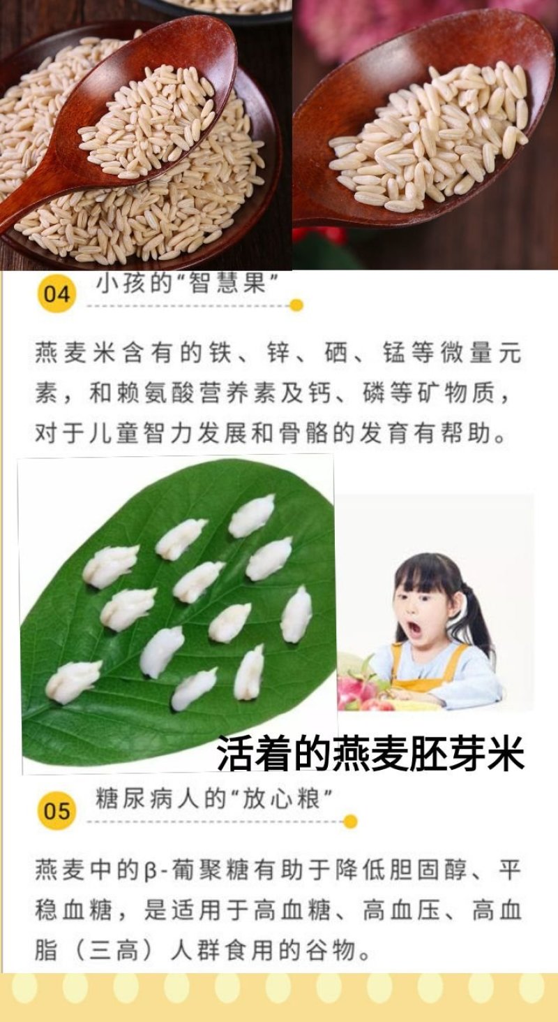 燕麦胚芽米边煮边发芽的神奇谷物燕麦胚芽米5斤装包邮