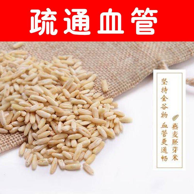 燕麦胚芽米边煮边发芽的神奇谷物燕麦胚芽米5斤装包邮