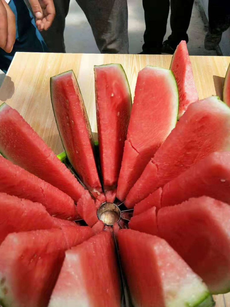 精品麒麟美都842西瓜产地直供大西北瓜质量保证