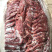 驴肉驴肉四分体五分体颜色鲜质量好出肉率高