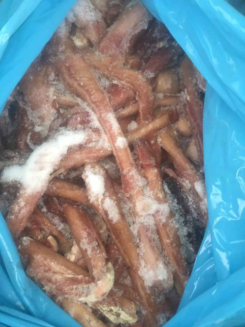 驴蹄筋精品驴蹄筋纯主筋颜色鲜质量好出肉率高