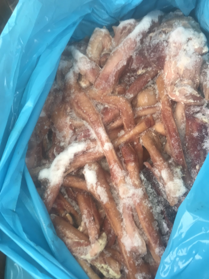 驴蹄筋精品驴蹄筋纯主筋颜色鲜质量好出肉率高