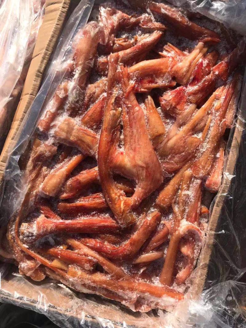 驴蹄筋精品驴蹄筋纯主筋颜色鲜质量好出肉率高