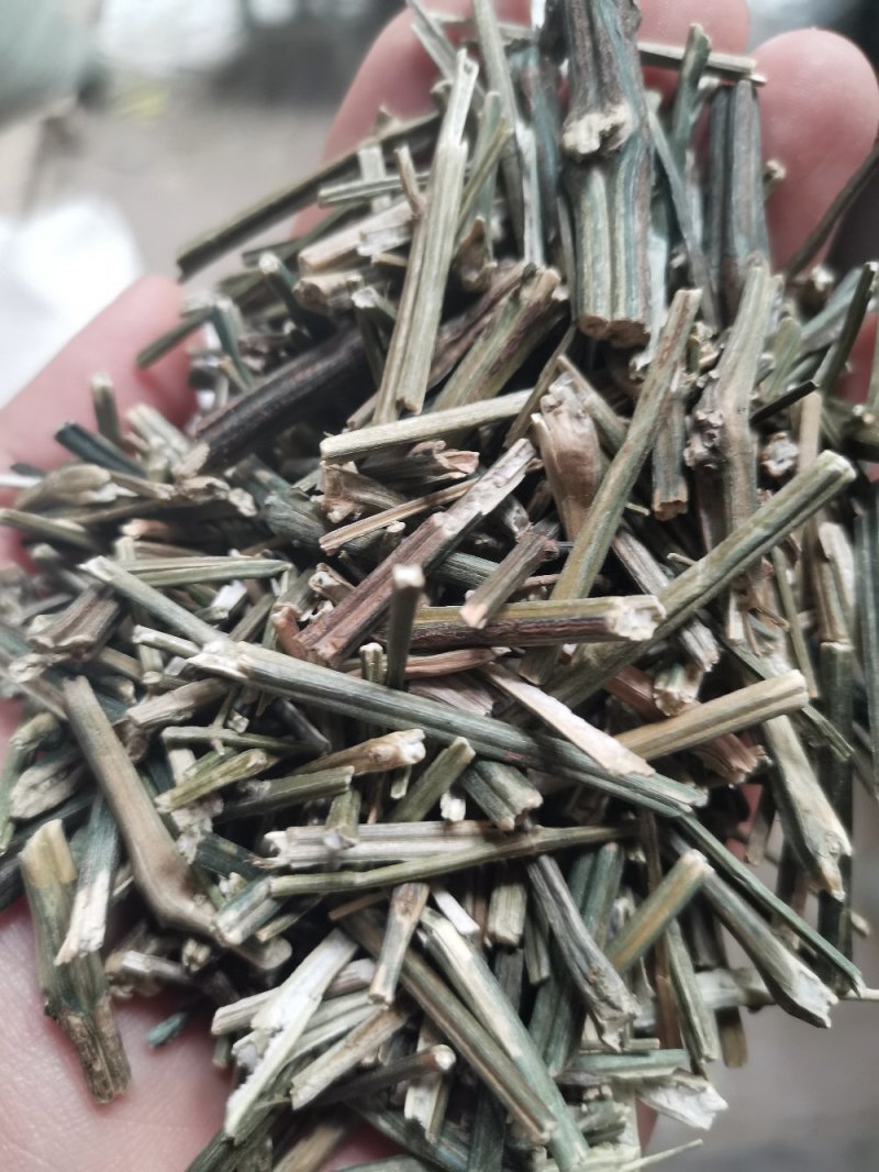 中药材穿心莲无硫熏干净无杂实物拍摄