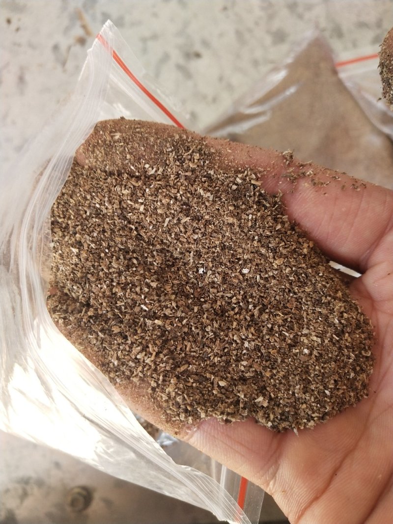 牛蒡各类规格，生熟牛蒡粉末
