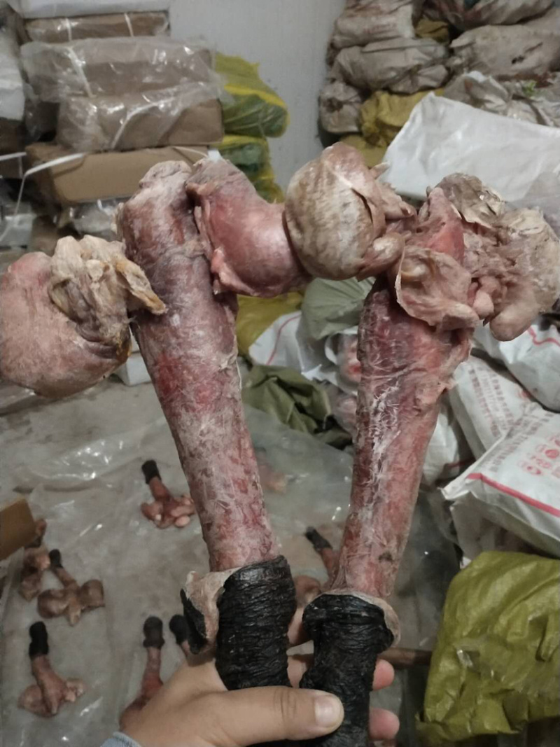 【驴鞭】带宝鞭光杆鞭现货质量好带宝鞭现货