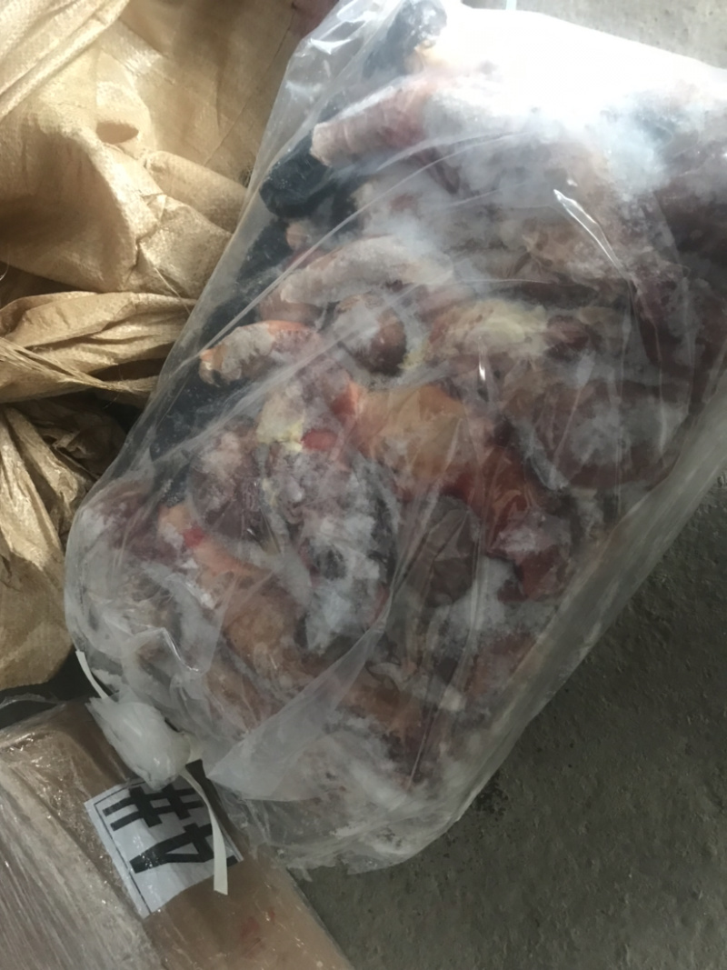 【驴鞭】带宝鞭光杆鞭现货质量好带宝鞭现货