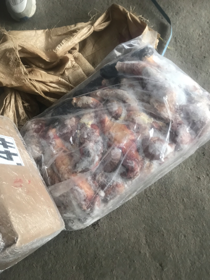 【驴鞭】带宝鞭光杆鞭现货质量好带宝鞭现货