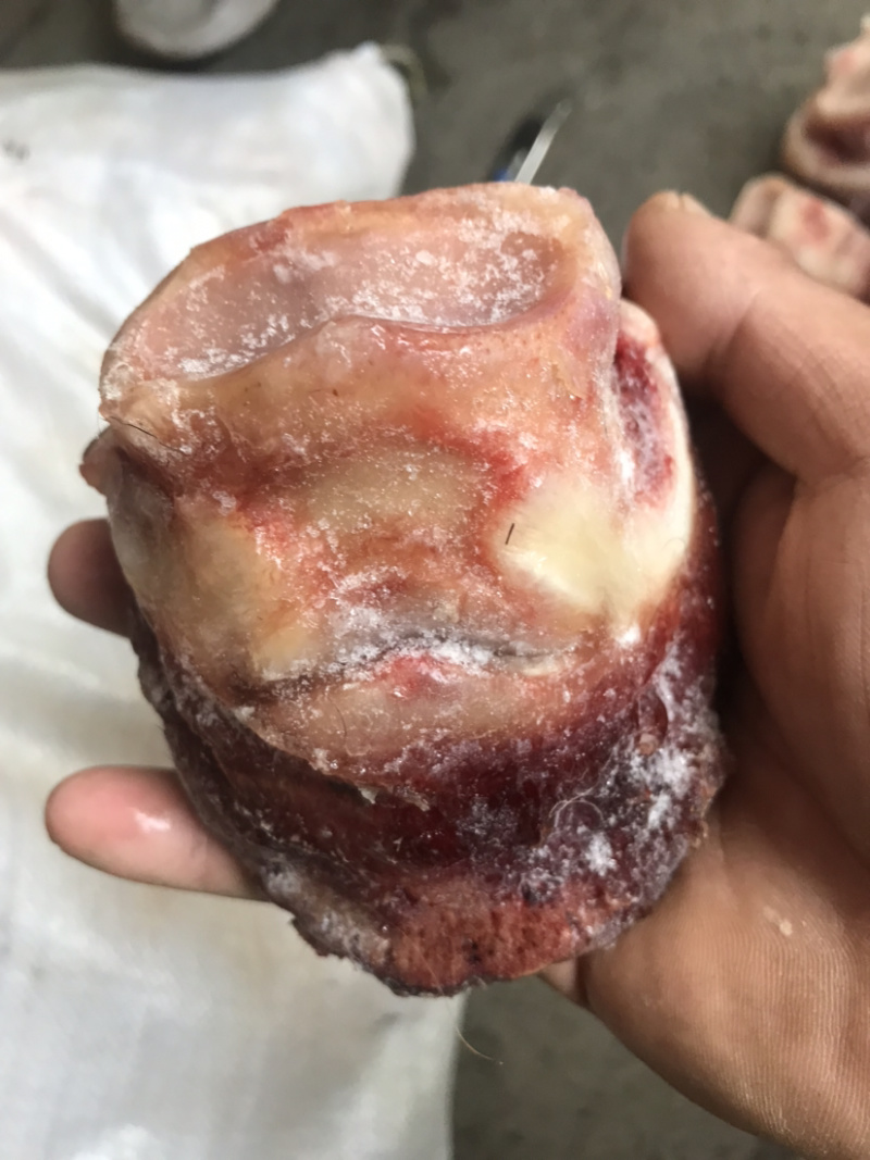 【驴短蹄】颜色新鲜质量好颜色如图，近期的货