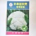 花菜种子，青梗有机花菜小米粒.松花菜品种种子