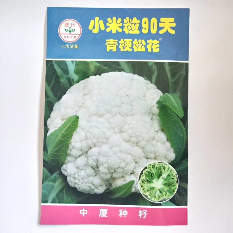 花菜种子，青梗有机花菜小米粒.松花菜品种种子