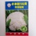 花菜种子，青梗有机花菜小米粒.松花菜品种种子