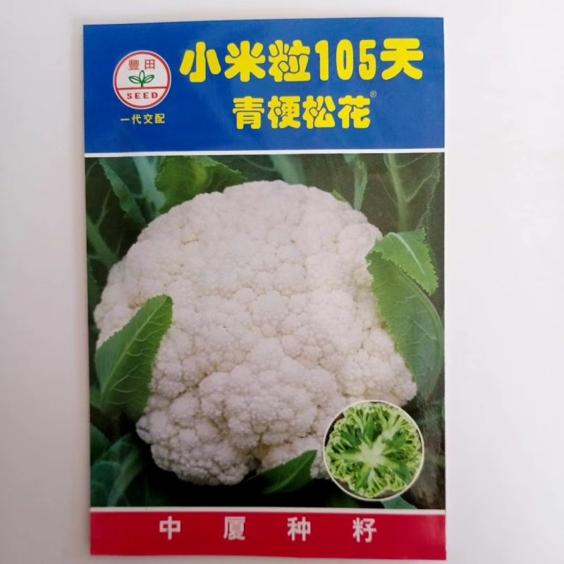 花菜种子，青梗有机花菜小米粒.松花菜品种种子
