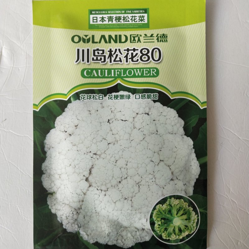 花菜种子，青梗有机花菜小米粒.松花菜品种种子