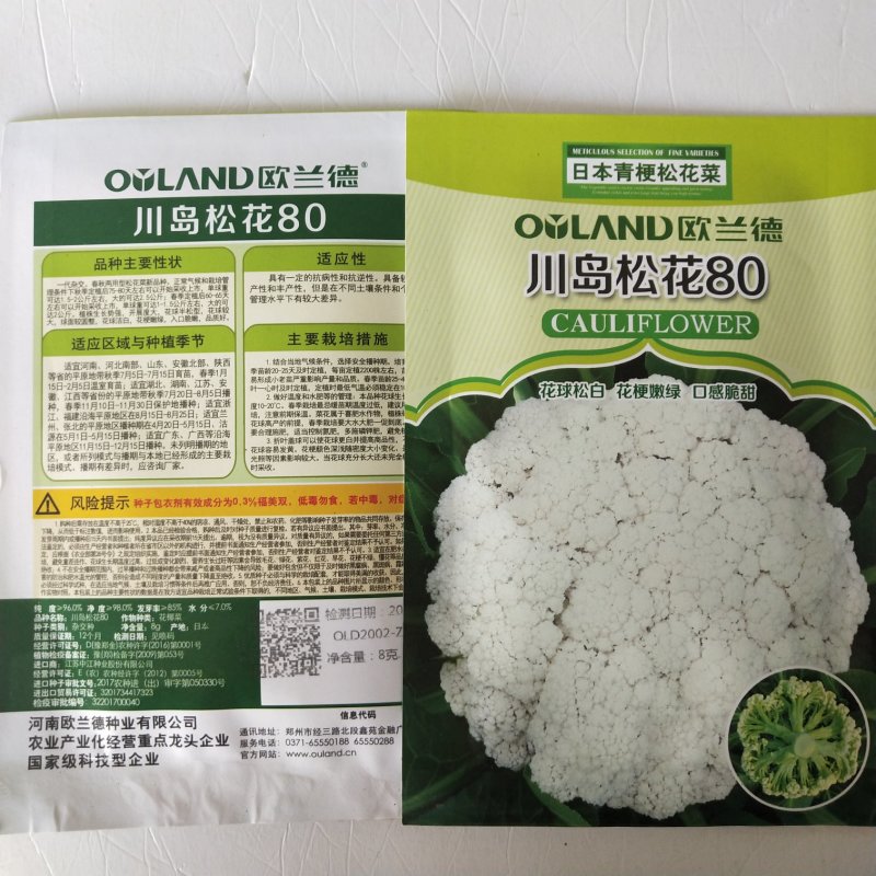 花菜种子，青梗有机花菜小米粒.松花菜品种种子