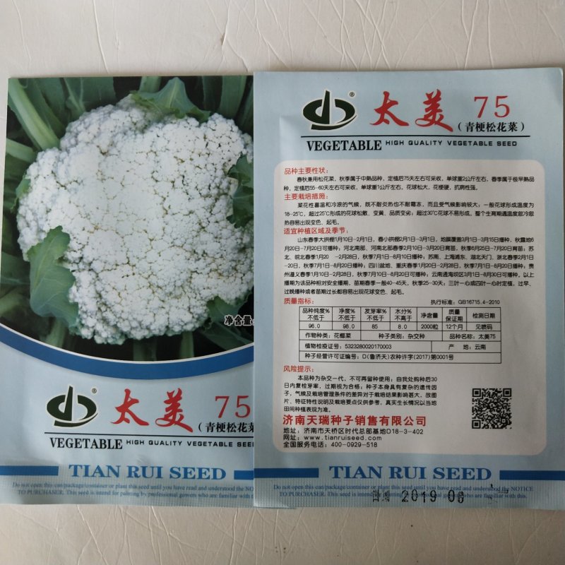 花菜种子，青梗有机花菜小米粒.松花菜品种种子