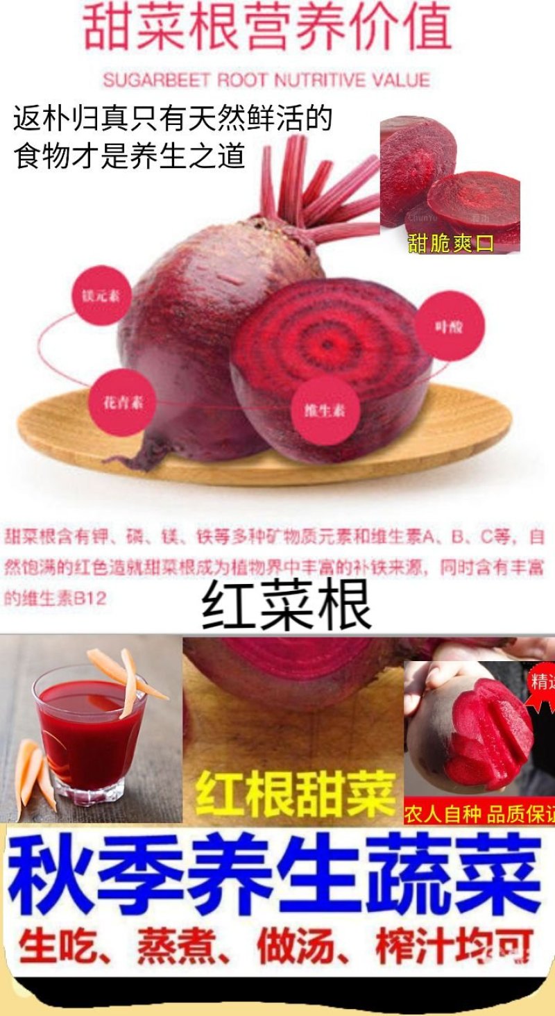红甜菜根养生蔬菜特色蔬菜红甜菜根5斤包邮