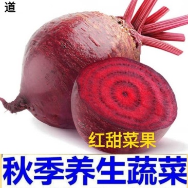 红甜菜根养生蔬菜特色蔬菜红甜菜根5斤包邮