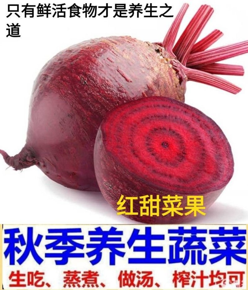 红甜菜根养生蔬菜特色蔬菜红甜菜根5斤包邮