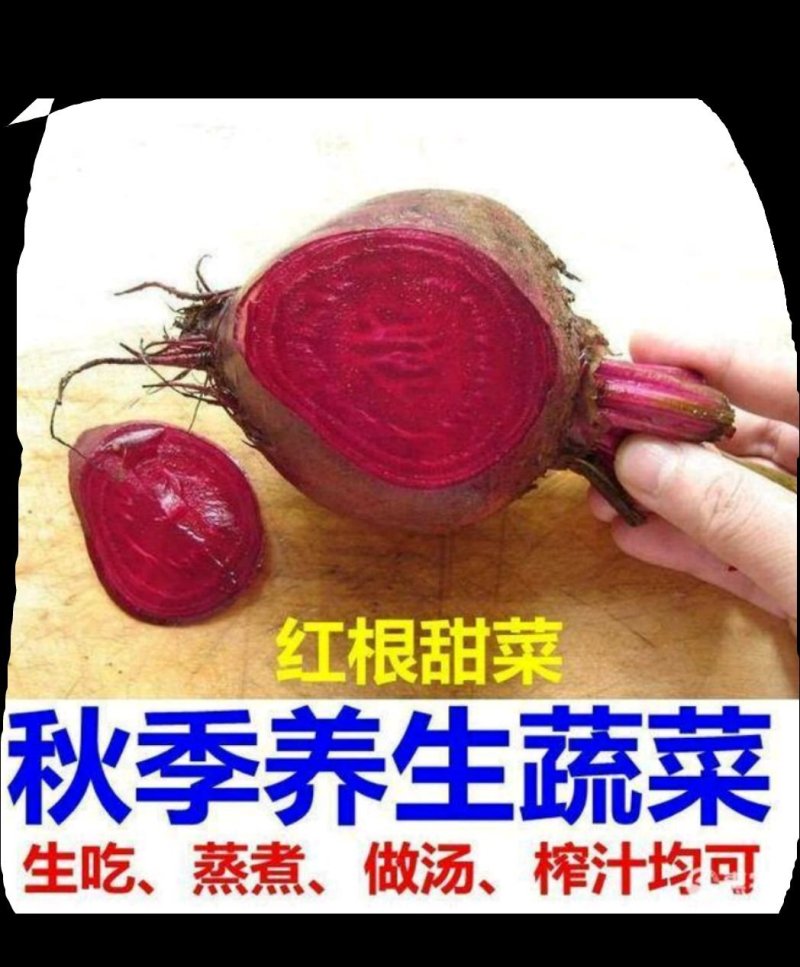 红甜菜根养生蔬菜特色蔬菜红甜菜根5斤包邮