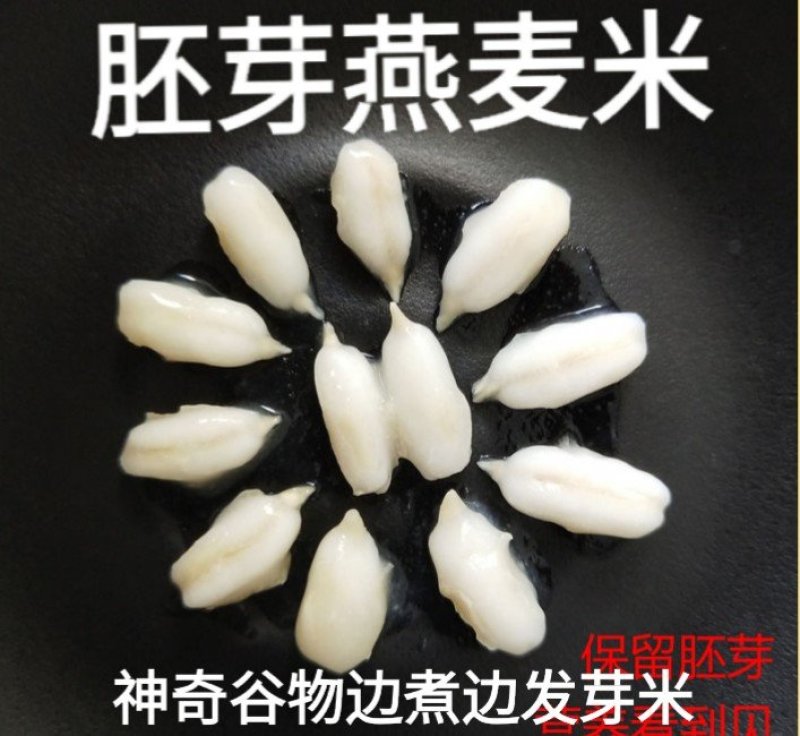 燕麦胚芽米边煮边发芽的神奇谷物燕麦胚芽米5斤装包邮