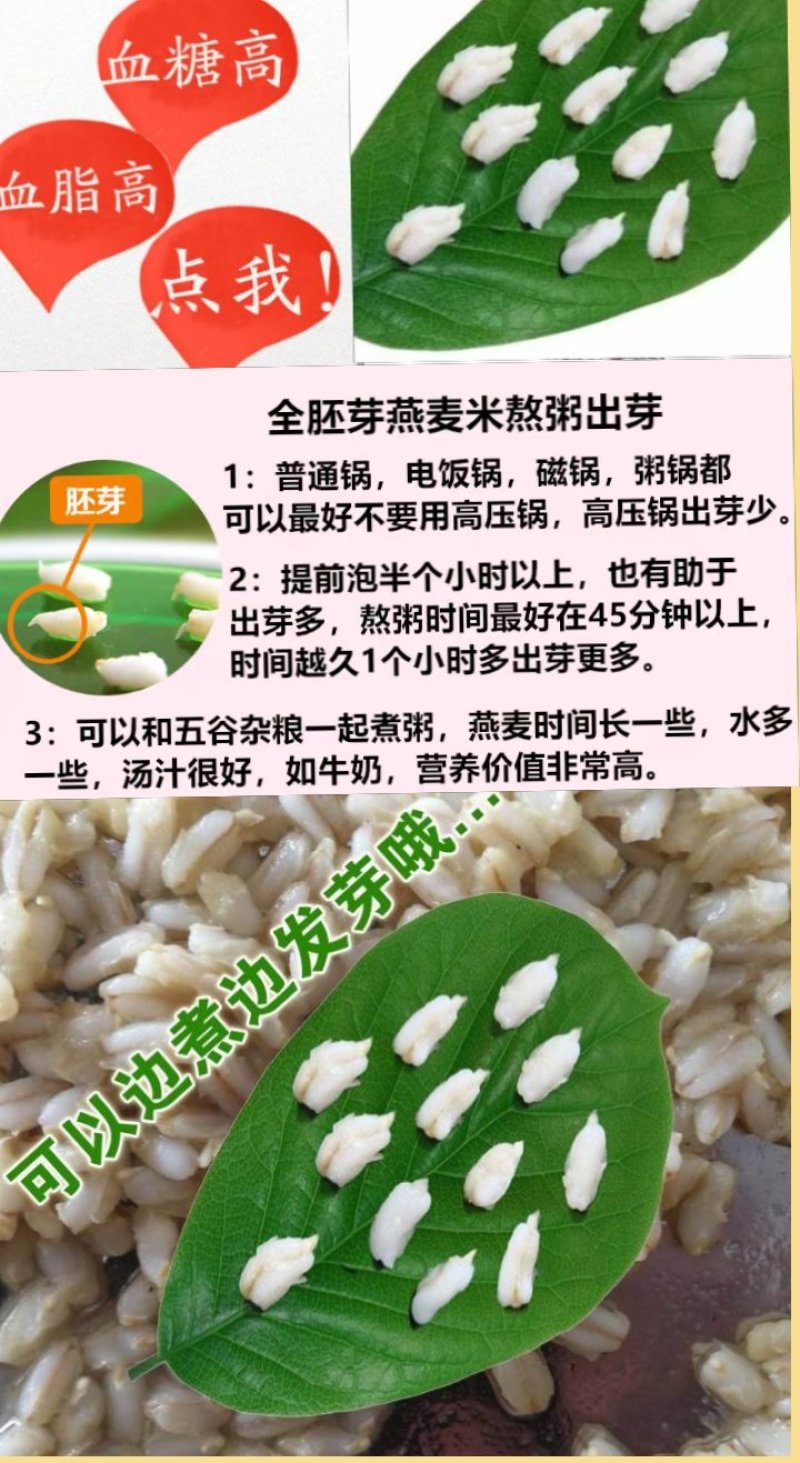 燕麦胚芽米边煮边发芽的神奇谷物燕麦胚芽米5斤装包邮