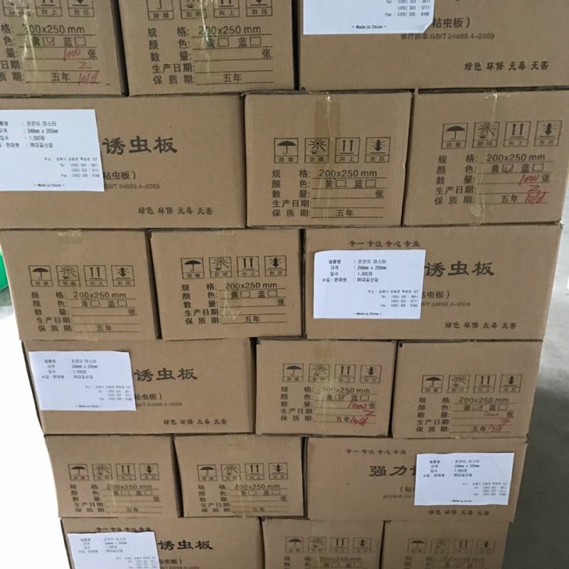 黄蓝一体粘虫黄板诱虫板双面蓝板果园大棚小飞虫茶园黏蓟马