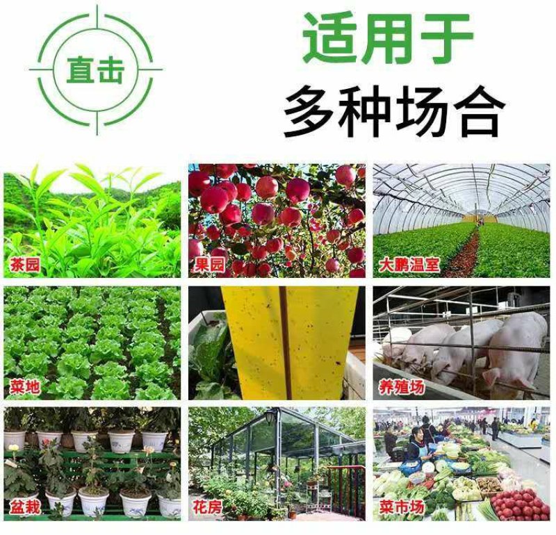 黄蓝一体粘虫黄板诱虫板双面蓝板果园大棚小飞虫茶园黏蓟马