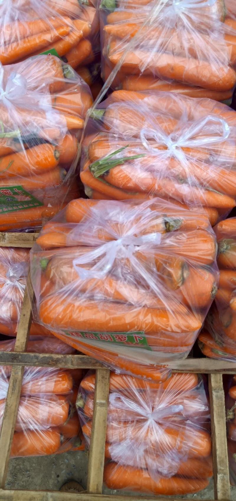 【胡萝卜】河南开封三红胡萝卜，大量上市，现货多多，欢迎咨询