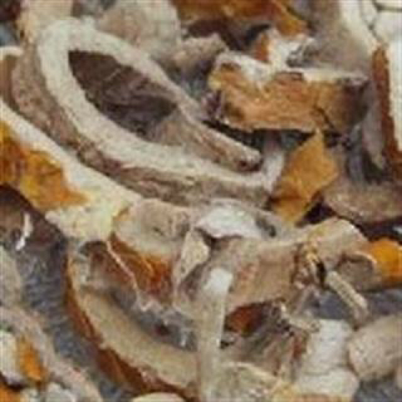 昌玉药材桑白皮产地直销质量保证