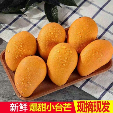 [一件代发]小台农芒果新鲜10斤水果当季整箱应季超甜小核