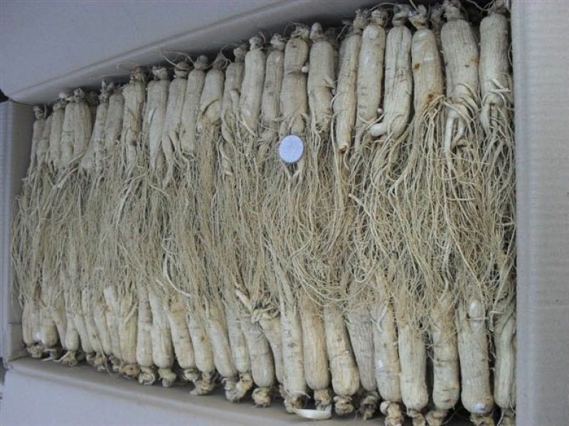 【诚招代理】长白山原皮生晒参/人参/干人参干货现货包邮