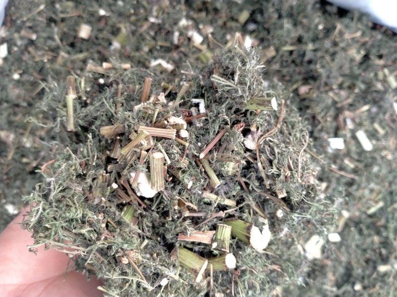 青蒿！颜色好！含量高！一手货源产地直销价格优